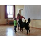 2017_08_08_hundestunde (9).jpg